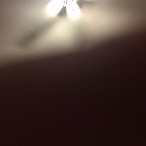 Meet your Posher, Carrie